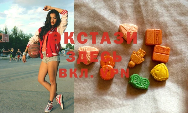 ECSTASY Богданович